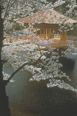 Ukimi-do, Nara, Japan