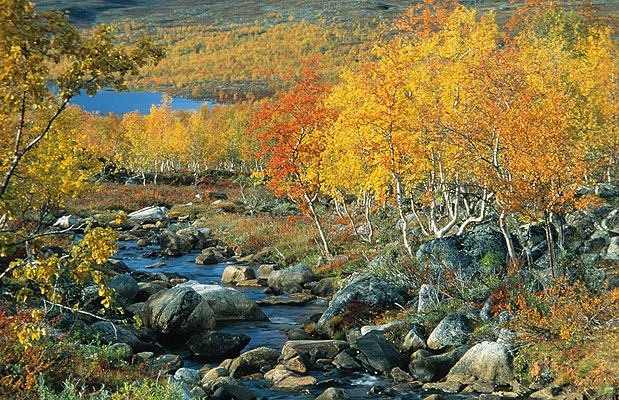 Autumn Colours, Finnland