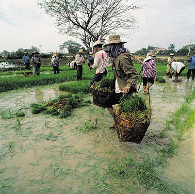 Zentralthailand, Thailand