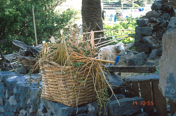 Valle Hermoso, La Gomera, Kanarische Inseln