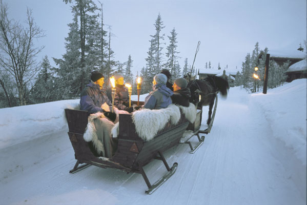 Gaustablikk horse slidging winter activity light snow sledging horse evening nature people, Norwegen