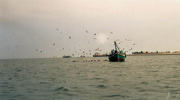 Fischerboot im Pazifik, Peru