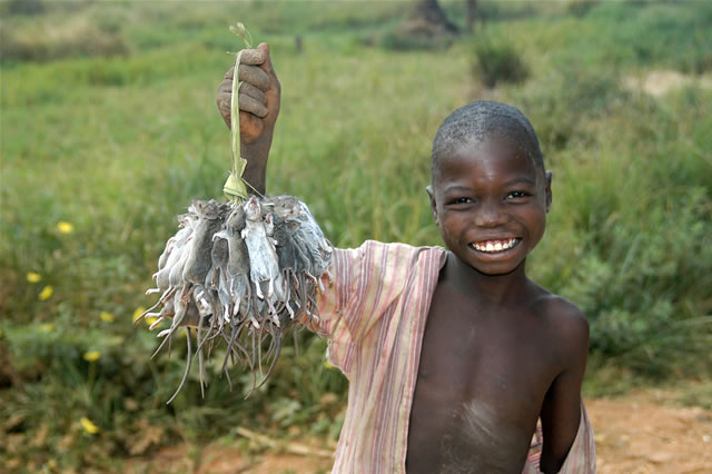 Kind aus Zentral-Malawis