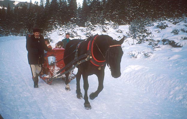 Pferdekutsche - Hohe Tatra