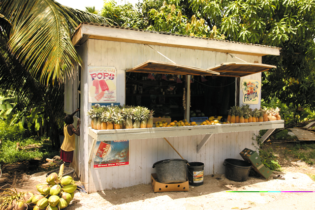 Geschäft auf dem Feigenbaum-Pfad - Local shop on Fig Tree Drive, Antigua & Barbuda