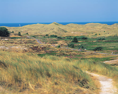 Dünen, Niederlande