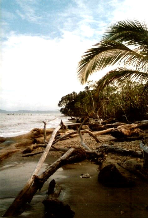 Cahuita-Strand, Costa Rica