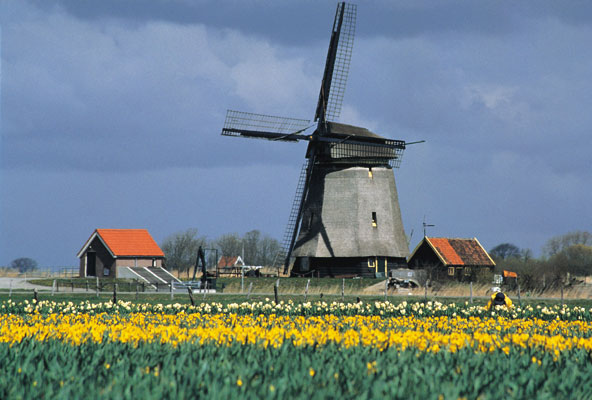 Nähe Egmond, Niederlande