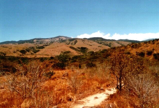 NP Areal Rincon Steppe, Costa Rica