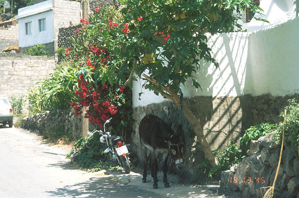 Impressionen, La Gomera, Kanarische Inseln