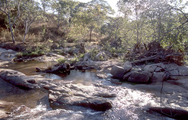 Quellgebiet des Lilongwe