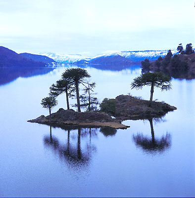 Laguna Icalma, Chile