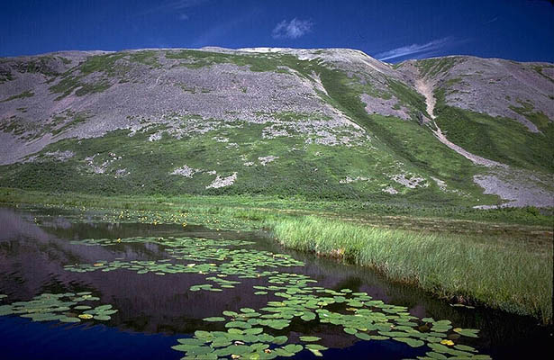 Gros Morne Nationalpark, ein UNESCO Weltkulturerbe, Kanada