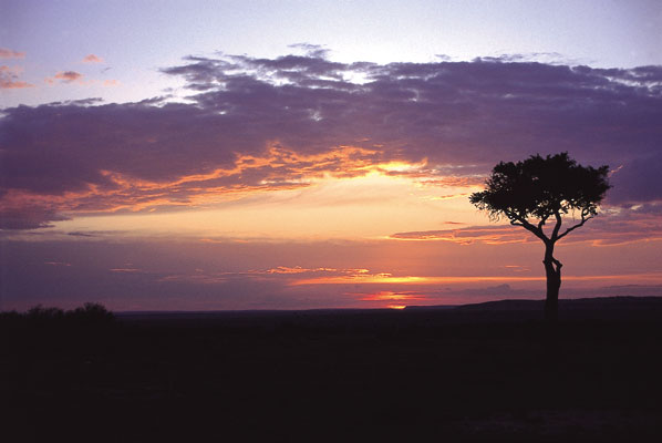 Impressionen aus Kenia