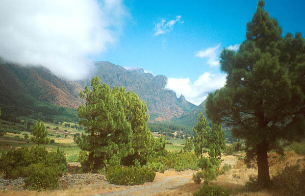 Impressionen, La Palma, Kanarische Inseln