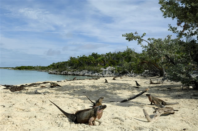 Exuma, Bahamas