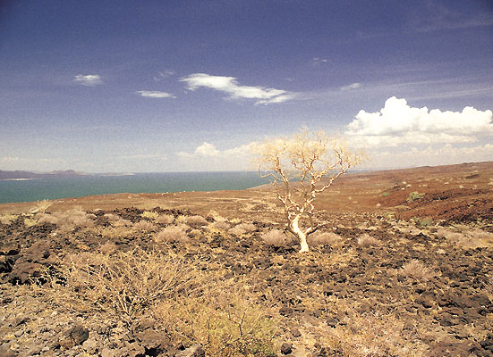 Impressionen aus Kenia