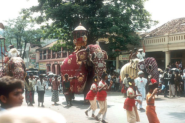 Perahera Fest, Sri Lanka