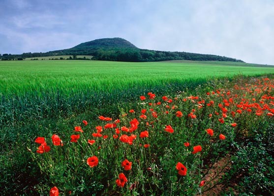 Mount Rip, North Bohemia, Tschechien