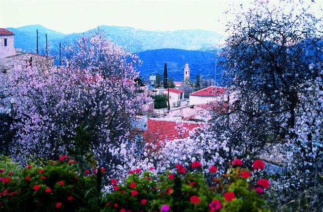 Limassol-Distrikt (Λεμεσός, Lemesós/Leymosun), Zypern