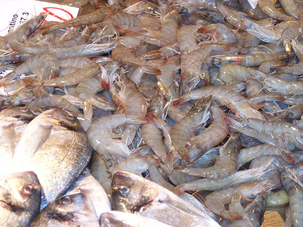 Fischmarkt, Sizilien