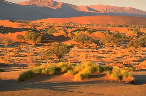 Abend am Sossusvlei - Dünennamib, Namibia