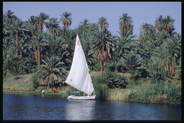 Segelboot auf dem Nil