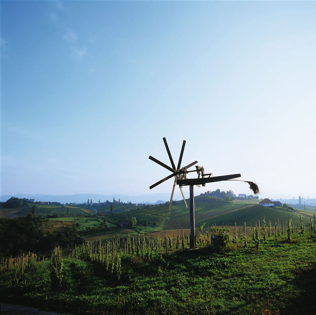 Südsteiermark- Weingarten mit Klapotetz (Windrad) [Trumler], Österreich