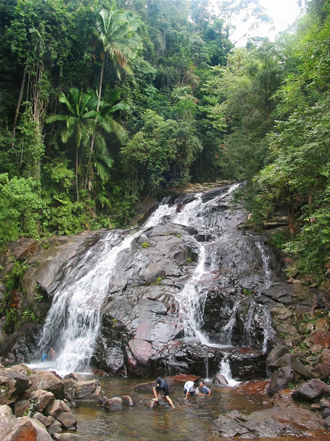 Endau Rompin Buaya Sangkut Wasserfall - Johore, Malaysia