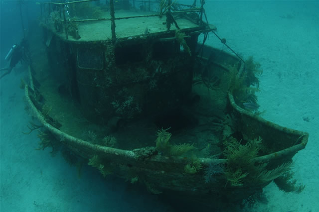 Nassau - Stuart Cove\'s Dive, Bahamas