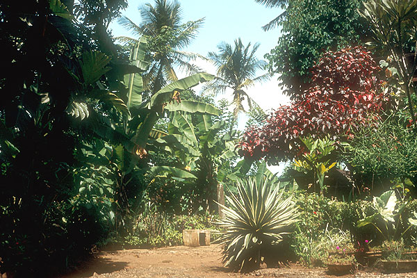 Sri Lanka