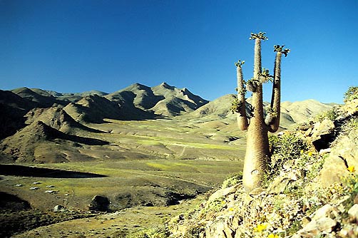 Richtersveld, Südafrika