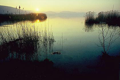 Lac de Neuchâtel, Schweiz