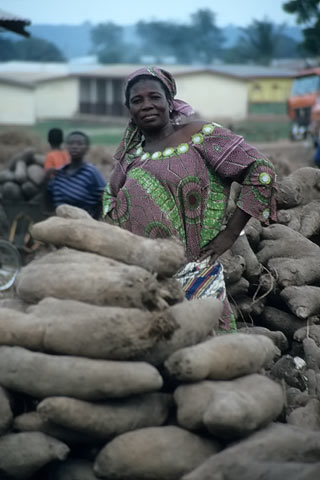 Cassava, Ghana