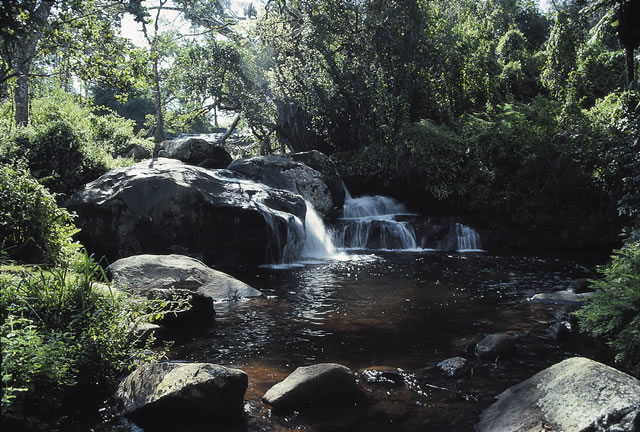 Zomba-Plateau