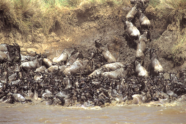 Impressionen aus Kenia