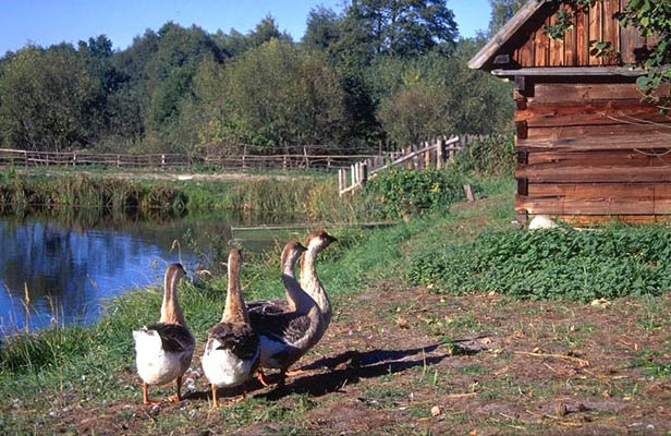 Sanok - Skansen, Polen