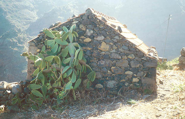 Tablado, La Palma, Kanarische Inseln