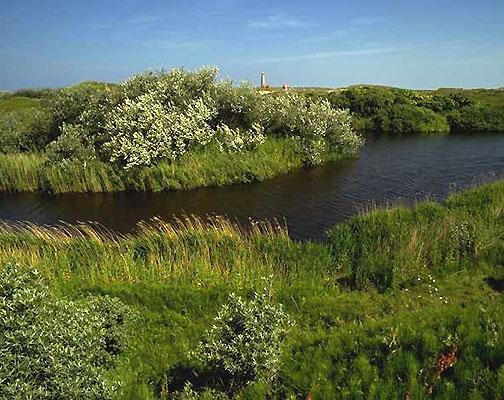 Nordholland, Niederlande