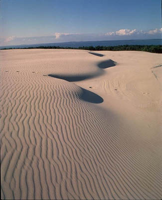 Dünen im Slowinski National Park, Polen