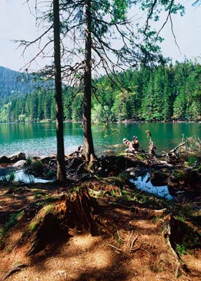 The Pierov nad Lake Cerne in Sumava, South Bohemia, Tschechien