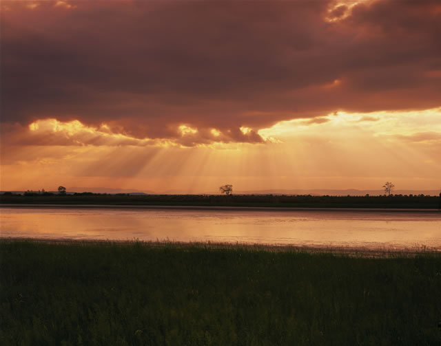 Burgenland - Abend im Seewinkel (Nationalpark Neusiedler See) [Popp], Österreich