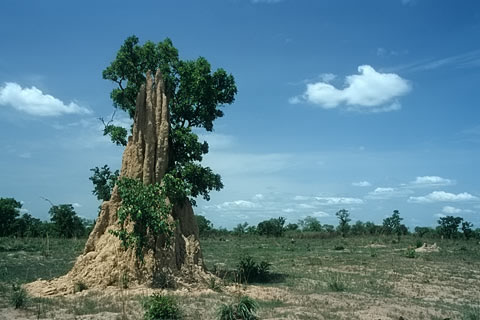 Ghana by Remo Nemitz