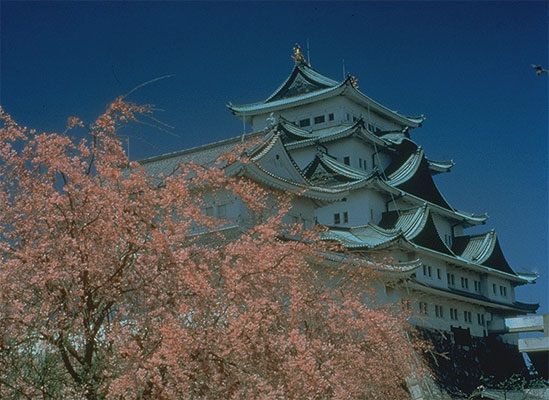 Nagoya Castle, Nagoya, Japan