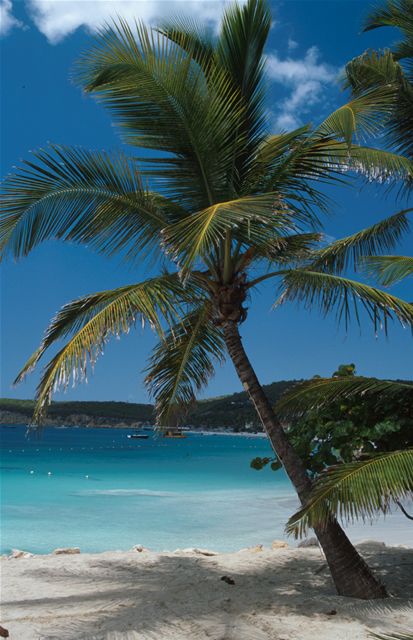 Strand auf Antigua - Antiguan beach, Antigua & Barbuda