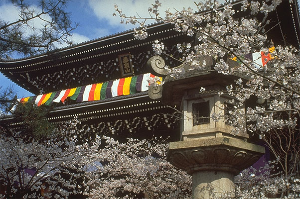 Chion-in Temple, Kyoto, Japan