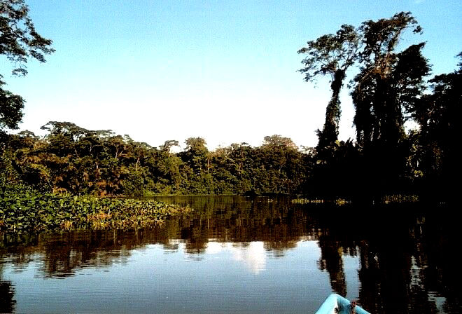 Tortuguero Kanal, Costa Rica