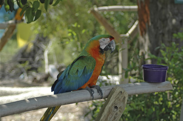 Grand Bahama, Bahamas