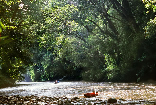 Lata Barkoh Pahang Nationalpark, Malaysia