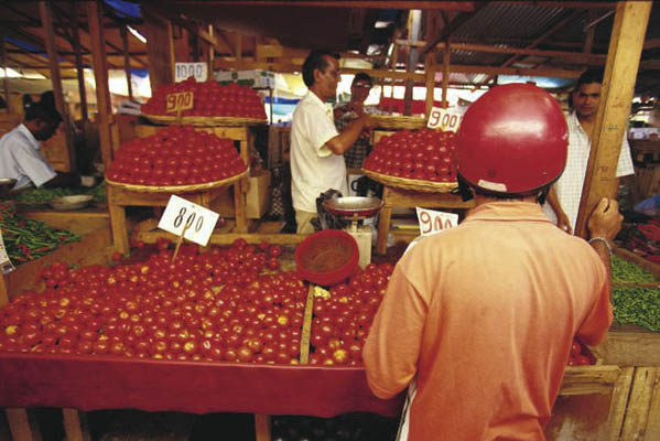 Tomatenstand, Mauritius